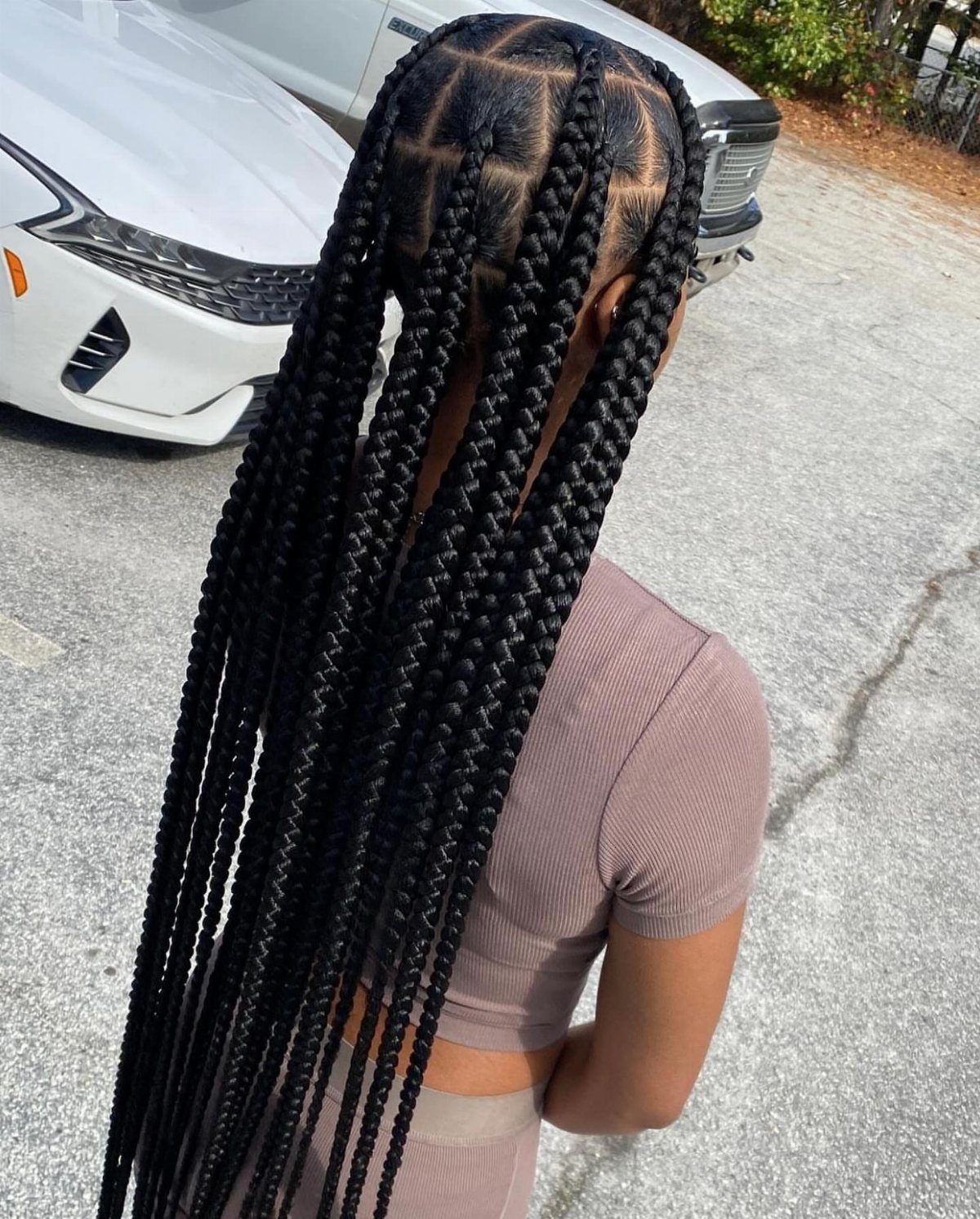 12 Braids Hairstyles: 16 Ideas From Box Braids to Cornrows 16 Woman with long, thick black jumbo braids wearing a mauve ribbed top.