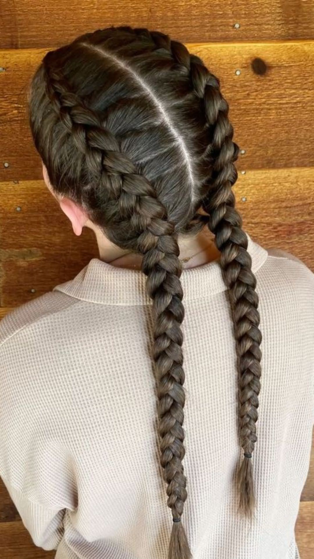 Two thick Dutch braids in dark brown hair on a person's back.