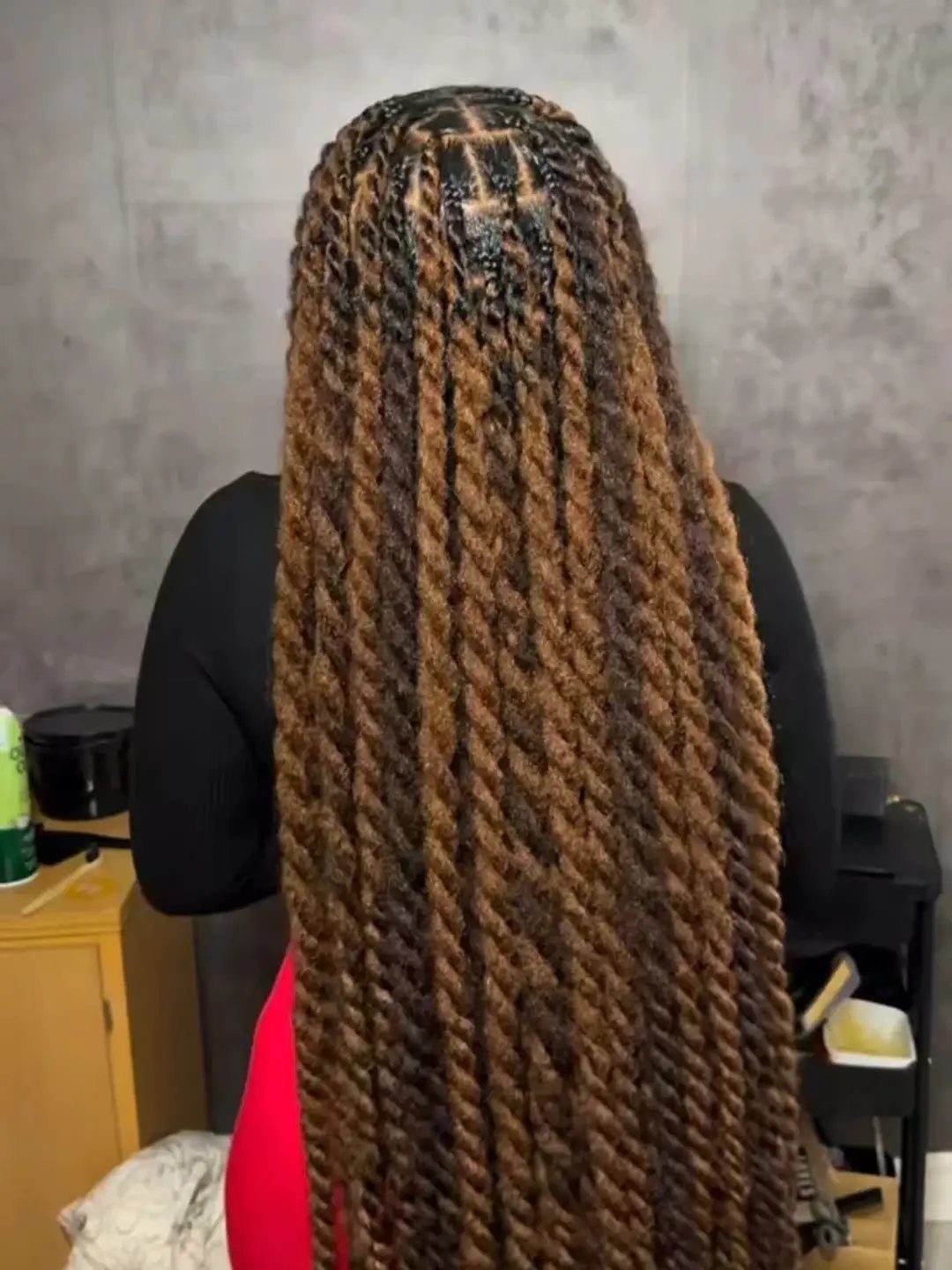 33 Hair Color vs. Color 5: 5 Ideas for Braids and Curls 2 Long reddish-brown twisted braids on a person with deep skin, viewed from behind.