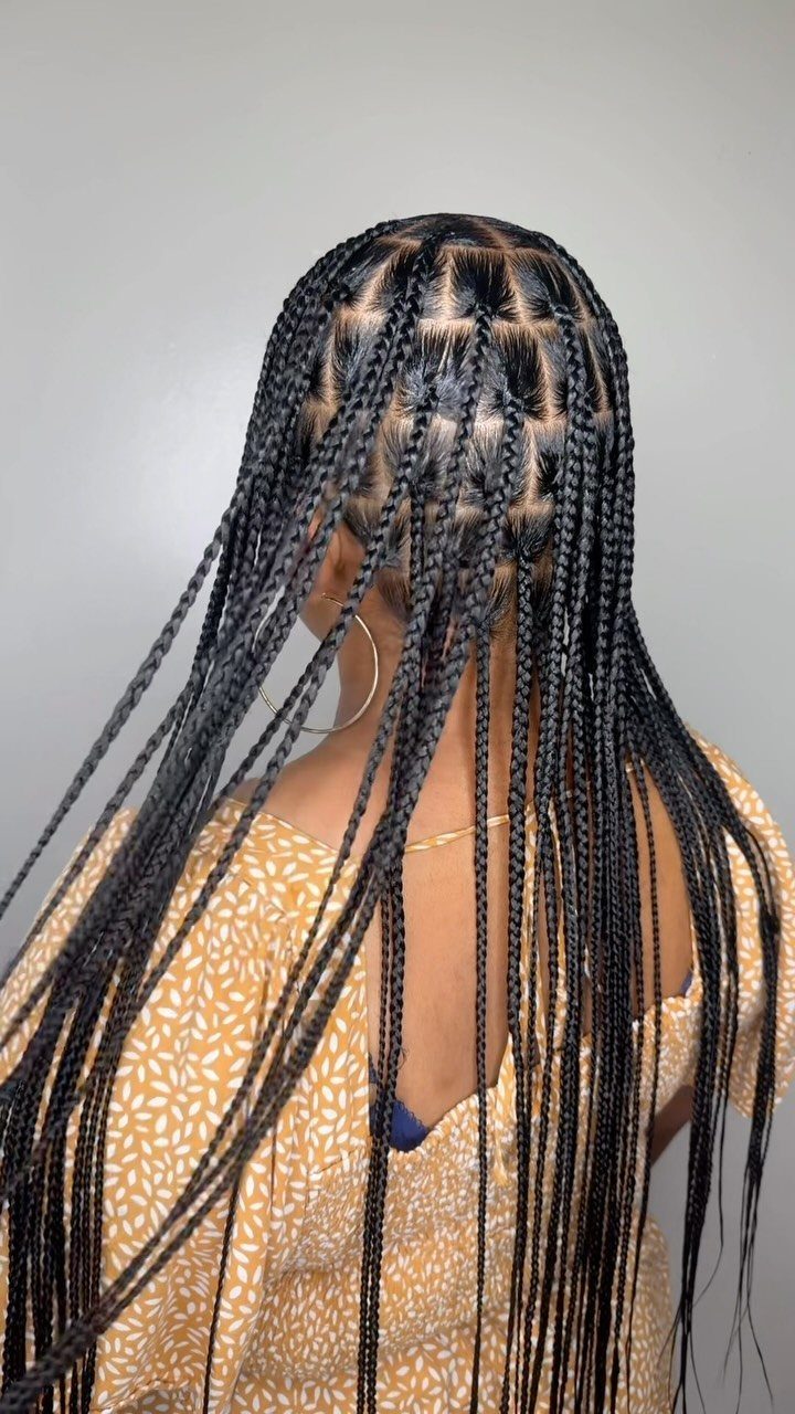 9 Braids with Natural Hair Only: Styles Without Extensions 6 Back view of long black box braids with neat square scalp parting.
