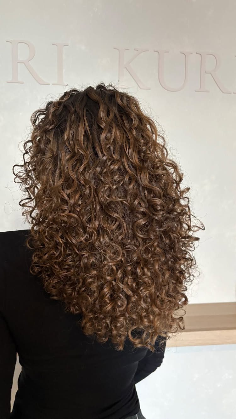 Curly Hair Beauty Ideas: 11 Styles, Colors and Care 7 Long curly brown hair with golden highlights seen from the back.