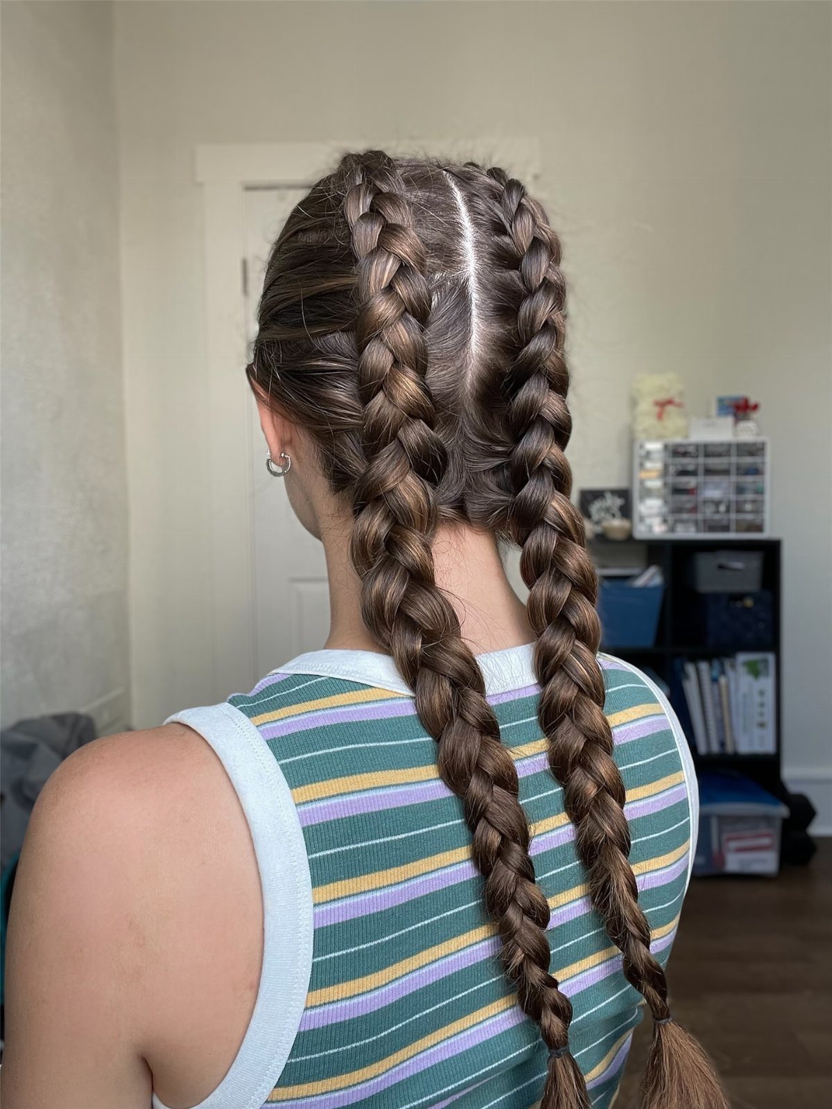 17 Cute Hairstyles for Picture Day, From Braids to Buns 4 Brown hair styled in two Dutch pigtail braids from the back view.