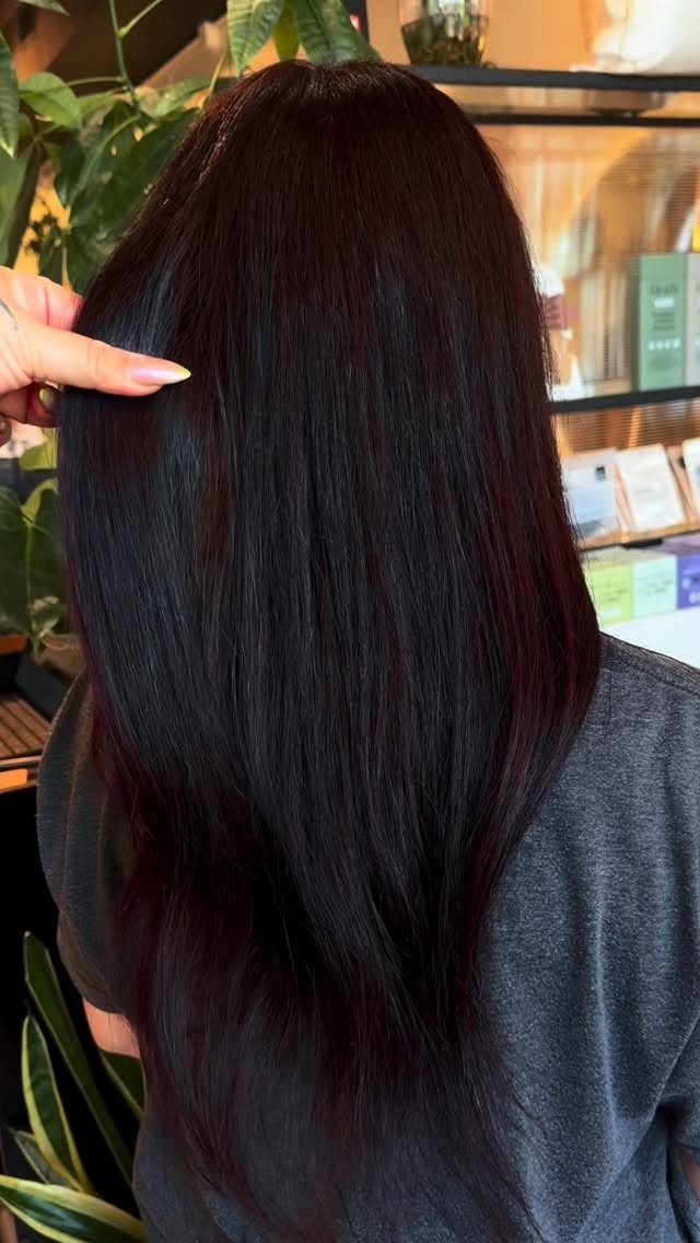 Long straight hair in a deep black cherry red shade seen from behind.