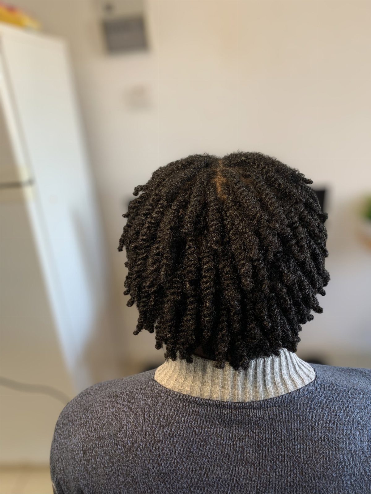 18 Easy Hairstyles for Medium Hair You Can Do Fast 5 Black medium-length hair styled in small, tight twists seen from the back.