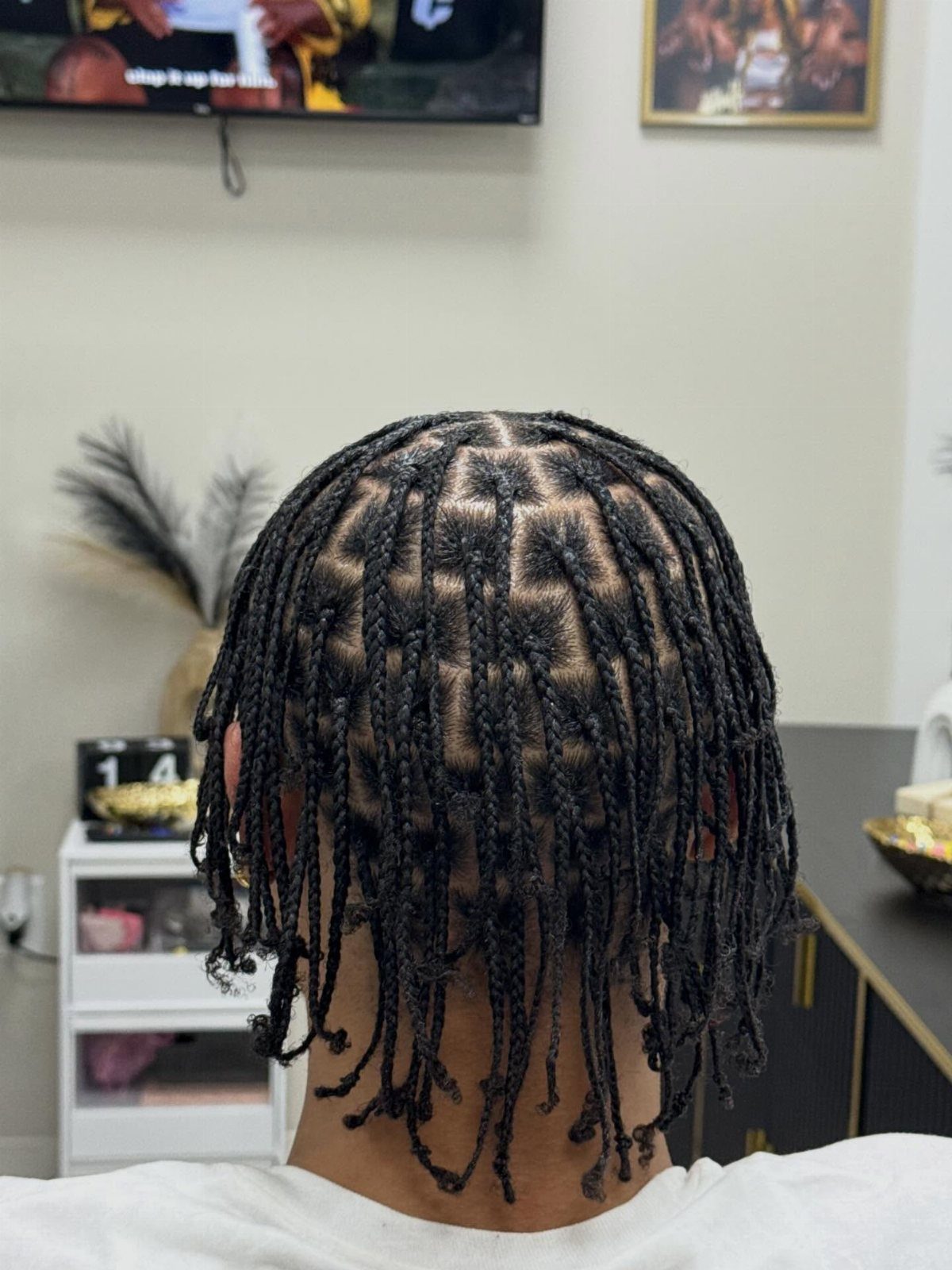 6 Knotless Braids Men Can Wear: Styles With Fades and Color 5 Man with black knotless braids styled in neat rows seen from behind.