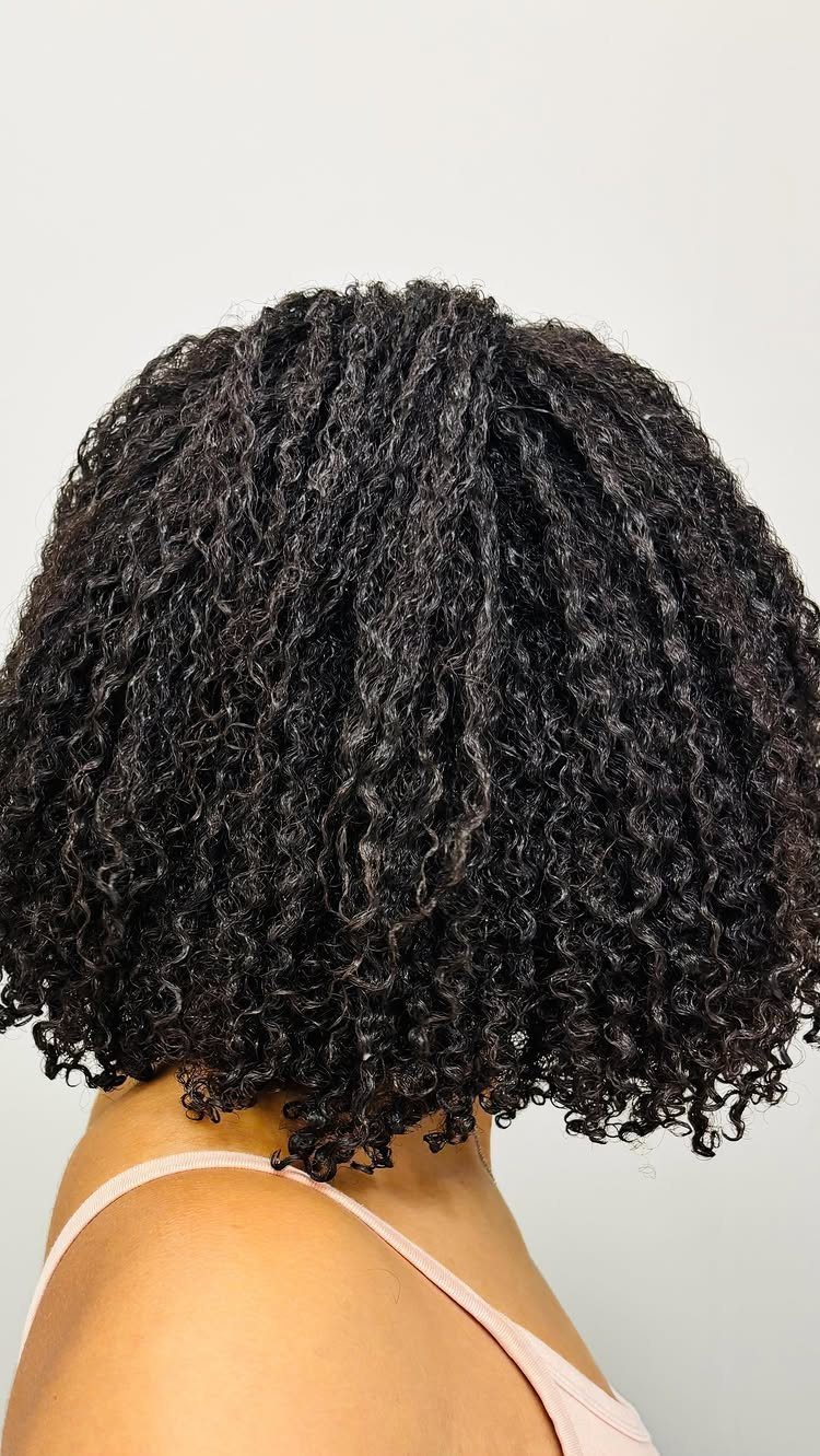 20 Thick Natural Hairstyles for Every Length and Mood 1 Thick curly black natural hair styled in a voluminous wash-and-go look from behind.